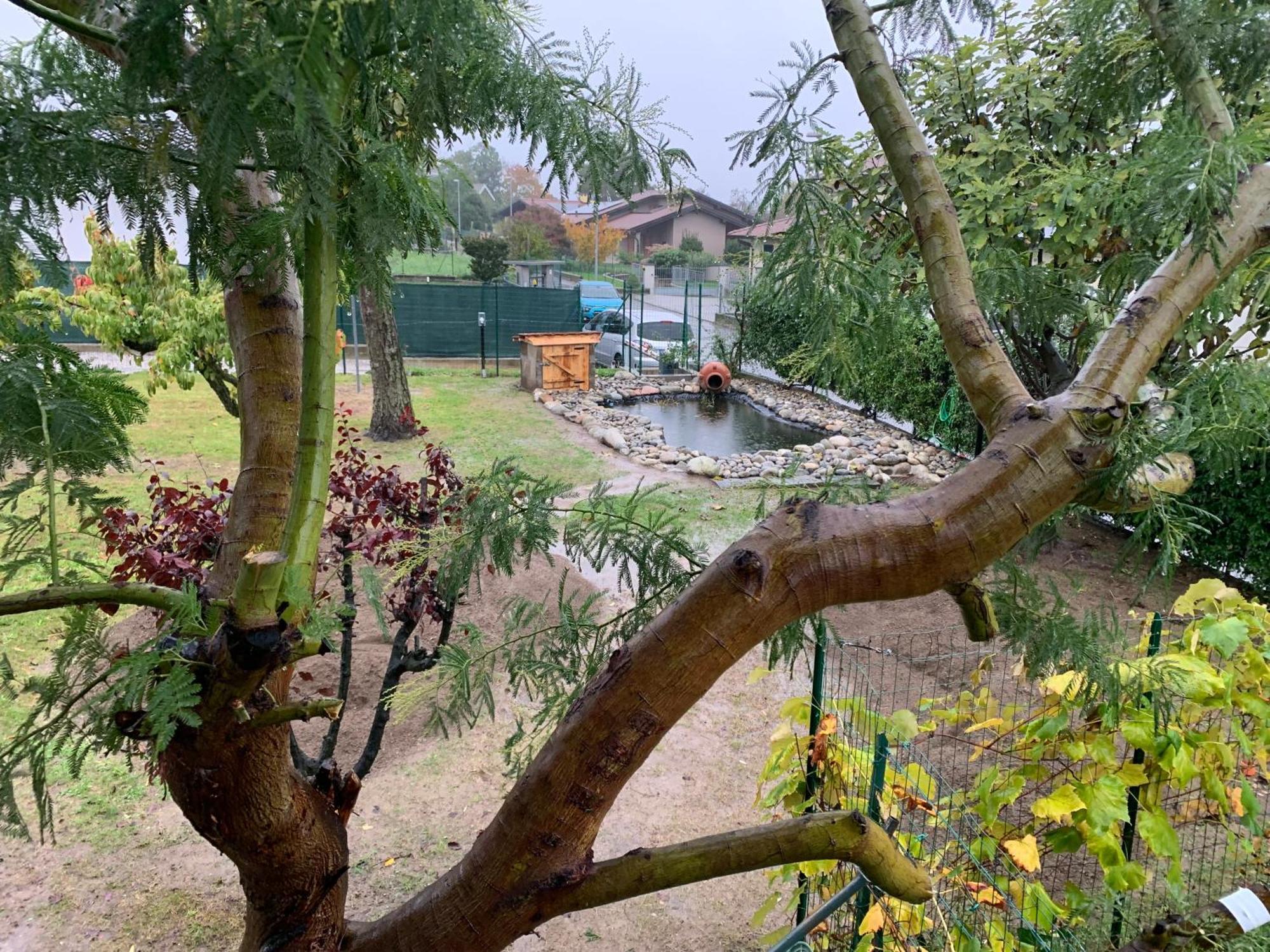Bed & Breakfast Indi Thelar Villa Guardia Екстер'єр фото
